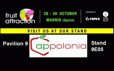 We invite you to visit our stand in Madrid.
